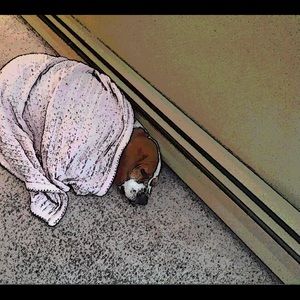 Meet your Posher, Ella